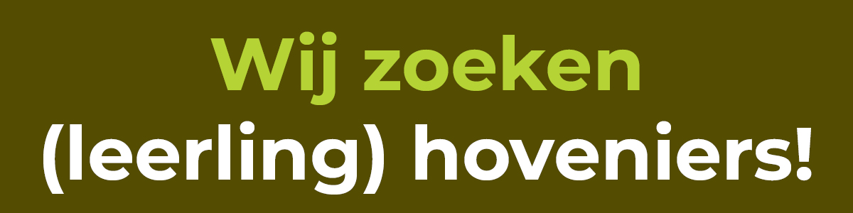 Vacatures site